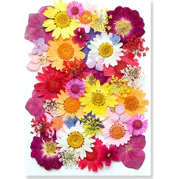 Obraz Lisované růžové žluté bílé květiny v pryskyřici Obdélníkový dekorativní blok Ruční výroba Domácí dekorace Originální dárek