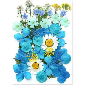 Obraz Lisované modré a bílé květiny v pryskyřici Obdélníkový tvar Ruční práce Dekorace do interiéru Originální dárek Květinová ozdoba