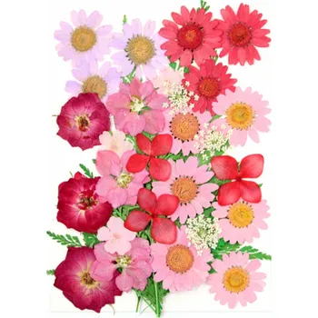 Obraz Lisované růžové květiny v pryskyřici Obdélníkový tvar Dekorativní přírodní pryskyřice Ručně vyráběná květinová dekorace