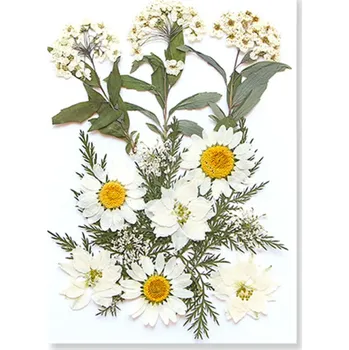 Obraz Lisované bílé květiny v pryskyřici Obdélníkový přívěsek Dekorace do interiéru Ručně vyráběný šperk Dárkový předmět