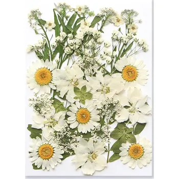 Obraz Dekorativní obdélníkový přívěsek z pryskyřice Lisované bílé květiny s listy Ruční výroba Originální šperk Dárek Přírodní styl