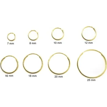 Náušnice Zlacené stříbrné náušnice kruhové Elvíra - 8 mm