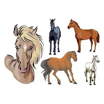 Odstranitelné tetování Koníci - sada tetovaček