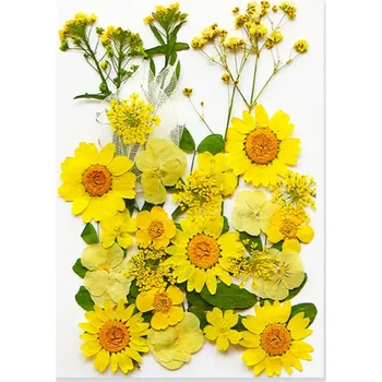 Obraz Lisované žluté květiny v pryskyřici Obdélníkový tvar Dekorativní pryskyřicová ozdoba Ruční výroba Dárek Přírodní styl Domácí dekorace