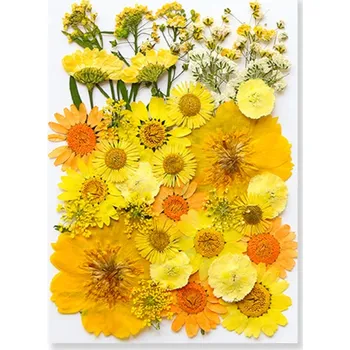 Obraz Lisované žluté květiny v pryskyřici Obdélníkový tvar Dekorativní pryskyřicový přívěsek Ruční výroba Květinová dekorace