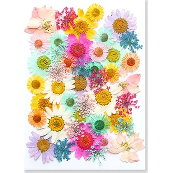 Obraz Lisované barevné květiny v pryskyřici Obdélníkový tvar Epoxidové odlitky Ruční výroba Šperky Dekorace DIY tvoření