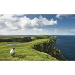 Fototapeta vliesová SHX9-040 Green Ireland 450x280 cm