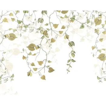 Fototapeta Fototapeta vliesová R3-025 Hedera 300x280 cm