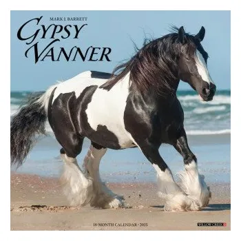 Kalendář Gypsy Vanner Horse 2026 12 X 12 Wall Calendar (Brožovaná)