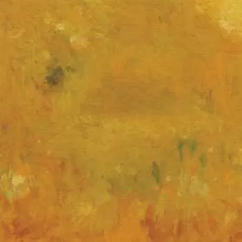 Zahraniční hudba CD Bevel: Where Leaves Block The Sun 2002