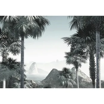 Fototapeta Fototapeta vliesová INX8-041 Guanabara 400x280 cm