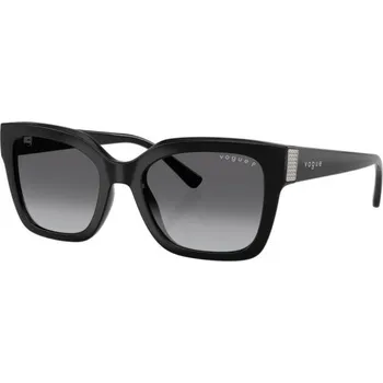 Oblečení a móda VOGUE VO5613SB W44/T3 POLARIZED