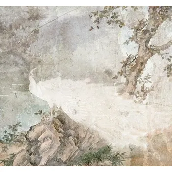 Fototapeta Fototapeta vliesová R3-027 Pasado 300x280 cm