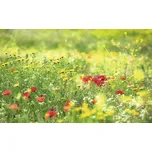 Fototapeta vliesová SHX9-094 Wiesenzauber II 450x280 cm