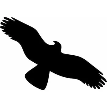 Samolepicí dekorace na vozidlo Samolepka Silueta dravce - 10x4,1