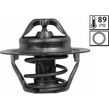 Těsnění motoru Termostat, chladivo VALEO 820025