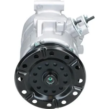 Kompresor klimatizace Kompresor, klimatizace BV PSH 090.195.032.050
