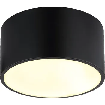 GLOBO RAYMOND 56964S Stropní svítidlo