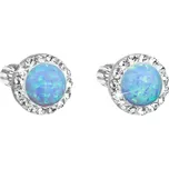 Evolution Group 31317.1