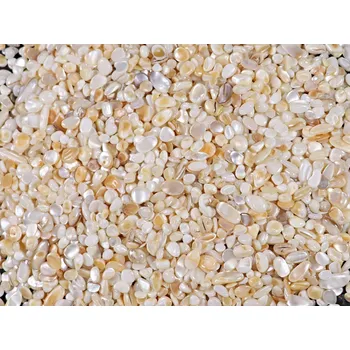 Drahý kámen Magieprirody.cz Tromlovaný kámen Perleť XXS velikost 4 - 12 mm Vietnam #595 Množství: 100g