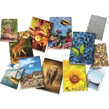 Zápisník Papírny Brno Záznamní kniha A4 čistá 96 listů mix motivů