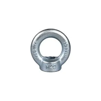 Matice Matice s okem DIN 582 C15 M20 ZB 5ks