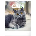 Notique Nástěnný kalendář Kočky 2026