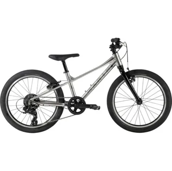 Dětské kolo MARIN Coast Trail 20" 7sp, strieborná/čierna 2024