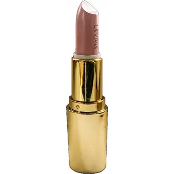 Přípravek na rty Lambre Exclusive Colour Lipstick Rtěnka 4g Nude Beige (05)