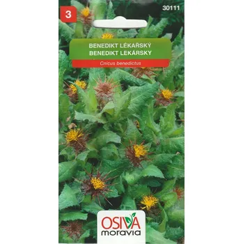 Semeno Benedikt lékařský (léčivý bodlák) 12/2024