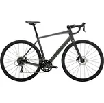Trek Domane AL 2 Gen 4 Matte Lithium…