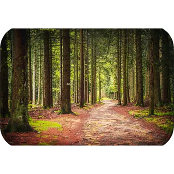 Koupelnová předložka KOUPELNOVÁ PŘEDLOŽKA | VODĚODOLNÁ RYCHLESCHNOUCÍ MĚKKÁ PROTISKLUZOVÁ