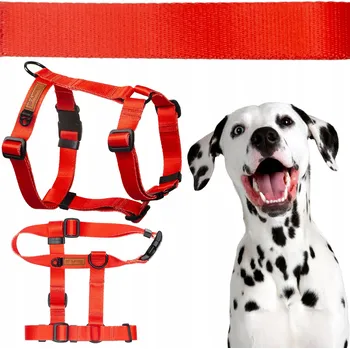 Postroj pro psa BEZTLAKOVÉ postroje typu GUARD pro středně velké psy M/L 25 mm BEAGLE BULTERIÉR ZLATÝ RETRÍVR