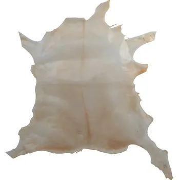 GEWA Made in Germany PergamenTele, sklovité 2617