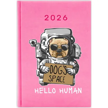 Diář Knižkový kalendář 2026 A5 FunnyCase modrý