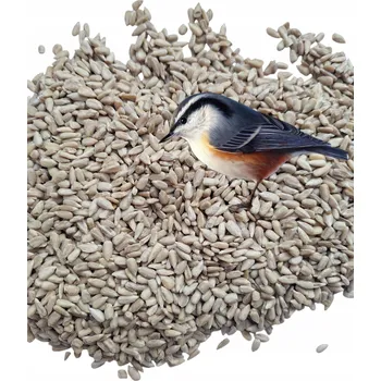 Krmivo pro ptáka Slunečnicová semínka loupaná 5 kg krmivo do krmítka pro ptáky koule