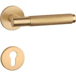 AT - MOLINIA - R 7S klika/klika, rozety PZ OLS - Mosaz broušená