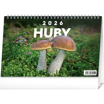Kalendář NOTIQUE Stolový kalendár Huby 2026, 23,1 x 14,5 cm