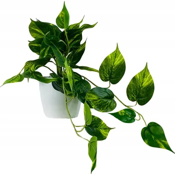 umělá květina Filodendron 25x40 cm