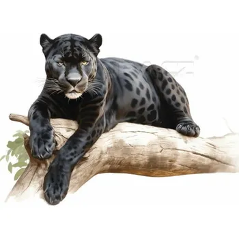 Nažehlovačka Panther černý - 6 x 4 cm