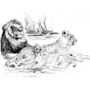 Royal Langnickel Malování skicovacími tužkami 39 x 28,5 cm/mix 4 motivů