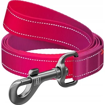 Vodítko pro psa Tradiční Vodítko Collar , materiál 2 m