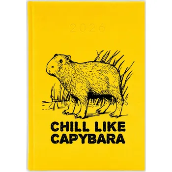 Diář Knižní diář 2026 A5 FunnyCase žlutý
