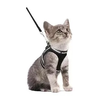Postroj pro psa Postroj s vodítkem pro kočky, vel. S