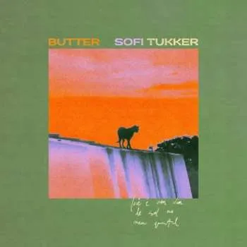 Zahraniční hudba LP Sofi Tukker: Butter 2025