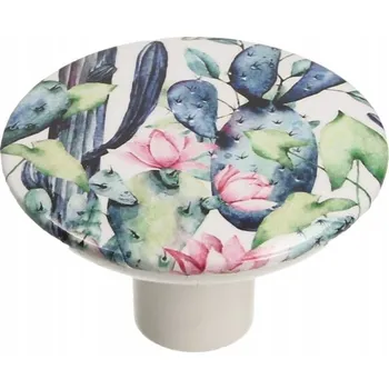 Obraz GAMET, Úchytka GX01, bílá, kaktus