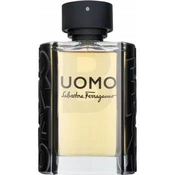 Pánský parfém Salvatore Ferragamo Uomo toaletní voda 100 ml