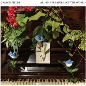 Zahraniční hudba CD The Crayon Fields: All The Pleasures Of The World 2009