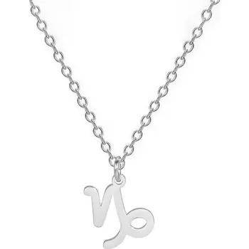 Náhrdelník Šperky4U Ocelový náhrdelník, znamení KOZOROH - OPD0356-10