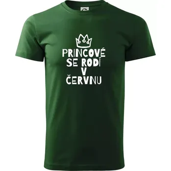 Pánské tričko Princové se rodí v červnu - Triko extra velké (5-8XL) - 8XL ( Lahvově zelená )